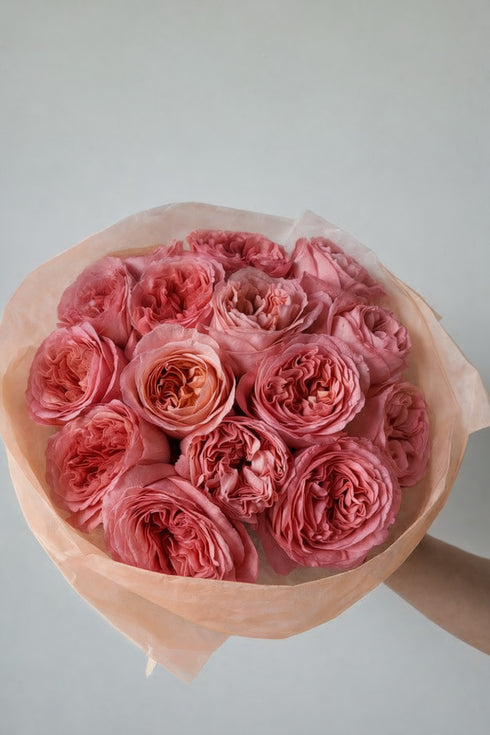 Roses Juliette