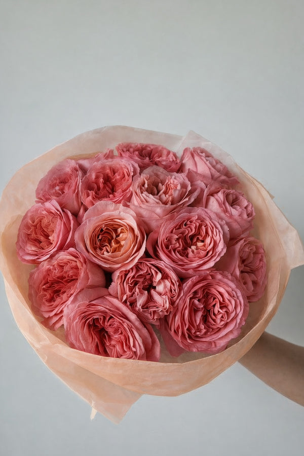 Roses Juliette