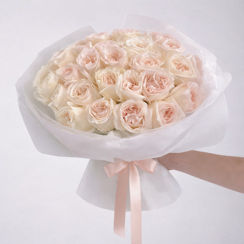O'Hara Roses — White